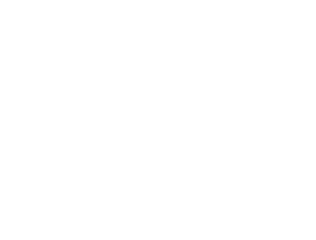 VerveDev